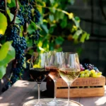 Calici di vino